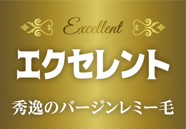 シールエクステ エクセレントクラス